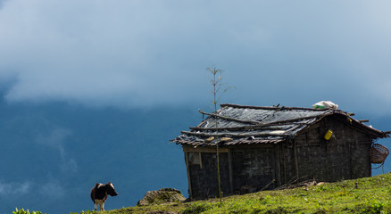 Brokpa's hut (Brokpa meaning Cattle Rearer). They used to get shelter in this hut when they roam...