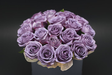 roses in a hat box on a dark background isolated