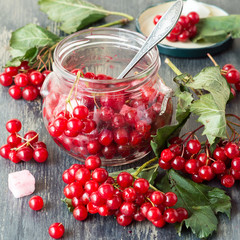 Fresh red berries of viburnum, a glass jar and small pieces of sugar on an old table.