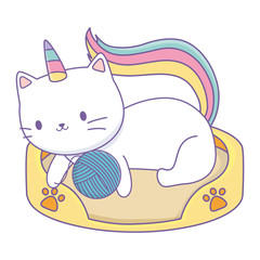 Unicorn cat cartoon vector design