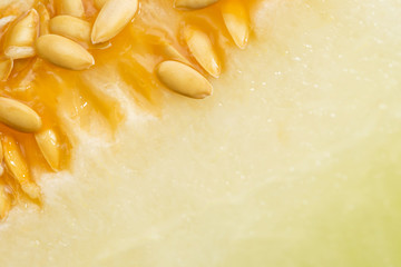 Honeydew melon with seeds