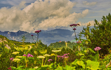 Dramatic cloudy sky over the Alps with a deliberately blurred foreground with a mountain meadow and...