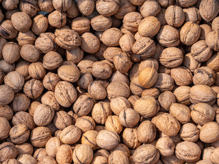 Frische Walnüsse auf dem Wochenmarkt