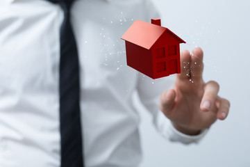 Model of the house and digital iot