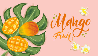 Hand drawn textured mango, flowers and leafs on coral background.  Colorful vector flat lay food illustration for healthy food cafe, restaurant, fruits and grocery market