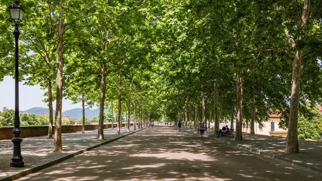 Timelapse sulla passeggiata delle Mura di Lucca