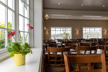 plant in restaurant
