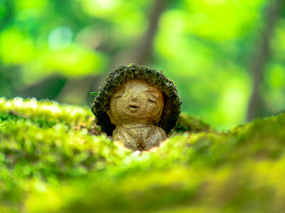 苔帽子地蔵（三千院）