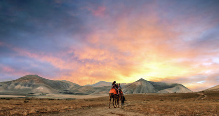 family walk on camels in the desert at sunset