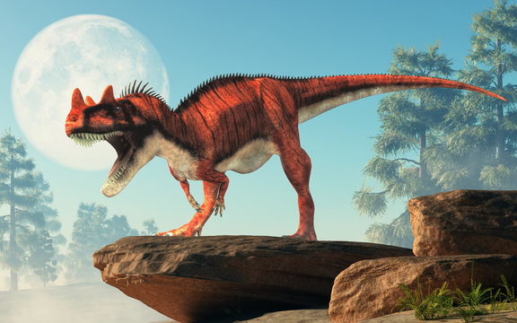 Fototapeta Ceratosaurus was a carnivorous theropod dinosaur of the Jurassic era most notable for the horns on its snout over its eyes. On a cliff by the moon. 3D Rendering.