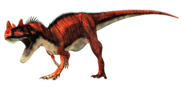 Ceratosaurus was a carnivorous theropod dinosaur of the Jurassic era most notable for the horns on its snout over its eyes. On a white background. 3D Rendering.