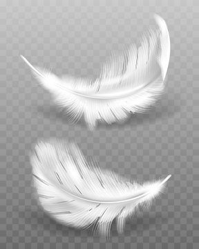 White fluffy feather with shadow vector realistic set isolated on transparent background. Feathers from wings of birds or angel, symbol of softness and purity, design element