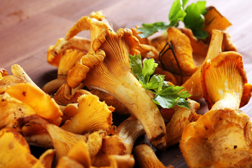 Raw wild chanterelle mushrooms. Composition with wild mushrooms