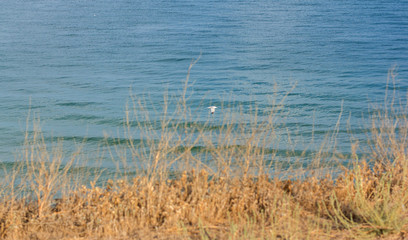 summer landscape of the sea and sky from above in summer, sunny day