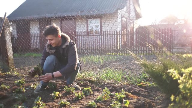 A young farmer plants in the ground. A man ennobles his garden. A man planting strawberries in the ground. Organic farming. Croft.