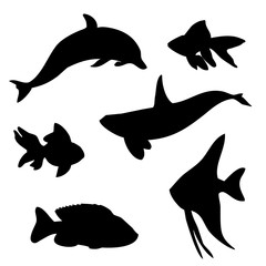 Collection of silhouettes of Black fish graphics set on white background. Picture illustration for your cute design and your project.