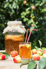 Kombucha drink in a glass jar and a glass with two straws, fermented apples, in the summer garden, on a wooden table. Rustic style.