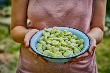 A woman in a pink blouse holds broad beans in a blue bowl