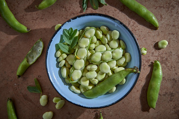 Broad beans are in a blue bowl on the brown table