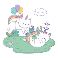 Obraz na płótnie Canvas Unicorn cats cartoons vector design