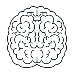 Brain white icon, top view. Mind, creativity and knowledge.