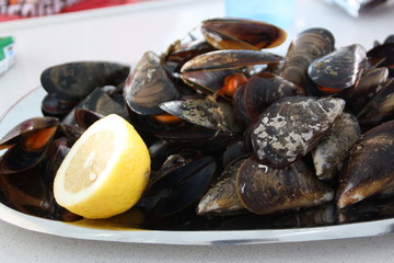 Mejillones