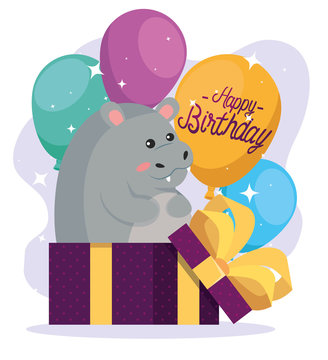 cute hippopotamus animal inside present gift with balloons