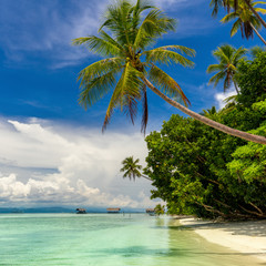 Fototapeta na wymiar Beautiful Paradise Island - landscape of tropical beach - calm ocean, palm trees, blue sky