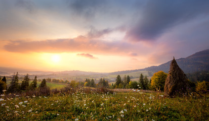 Sunrise in Mountains with white flowers and picturesque valley - obrazy, fototapety, plakaty