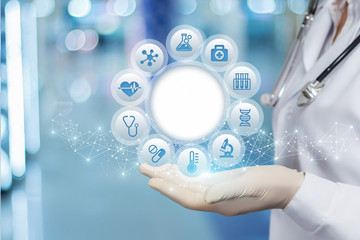 The doctor shows the structure of the medical examination .