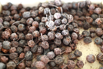 Dried hawthorn in box