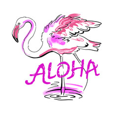 Flamingo bird isolated on white background. Lettering Aloha. Template. Close-up. Clip art. Hand Painting. Ink. Line art, black and white. Vector. Line art