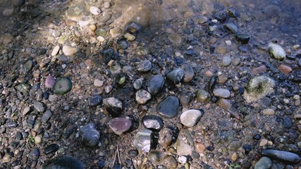 pebbles on the beach
