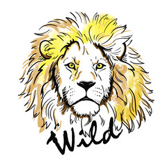 Lion portrait. Color Lion head isolated on white background. Lettering. Template. Close-up. Clip art. Hand Painting. Ink. Black and white. Vector. Line art