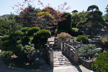 Jardín japonés