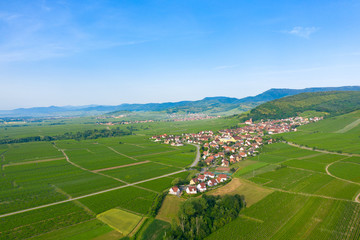 Un village alsacien au milieu des vignes au pied des Vosges