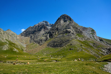 Fototapeta na wymiar Pirineo de Huesca - Acher - Selva de Oza.