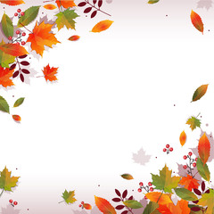 Autumn background with golden maple and oak leaves. Vector paper illustration.