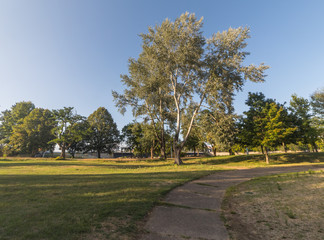 parc,nature,campagne