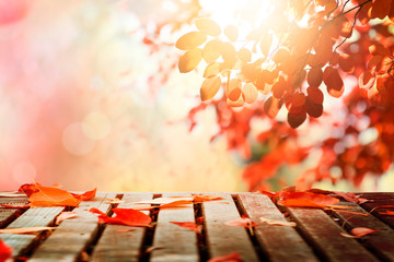 Wooden deck with autumn leaves in sunny day background with copy space