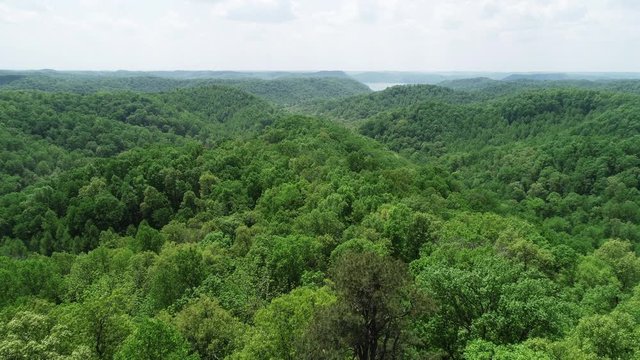 Wide aerial, Daniel Boone National Forest in Kentucky