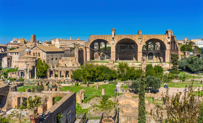 Ancient Forum Vesta Temple Regia Basilica Constantine Rome Italy