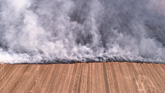 Agricultural burning. Dry plant field fire smoke. Countryside landscape.