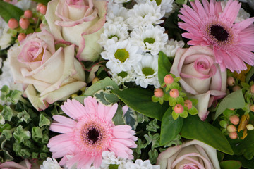 flores,naturaleza, rosa,blanco