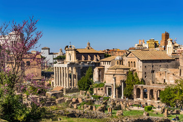 Ancient Forum Vesta Temple Regia Curia Rome Italy