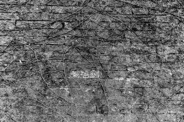 Old wall in black and white style