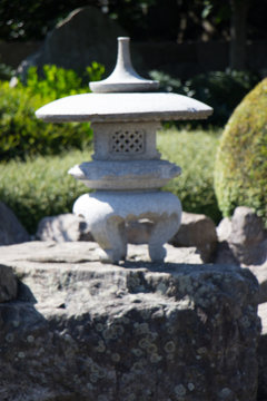 Farolillo japon&eacute;s