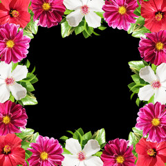 Beautiful floral background of hibiscus and dahlia. Isolated 