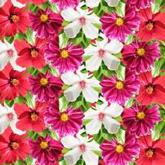 Beautiful floral background of hibiscus and dahlia. Isolated 