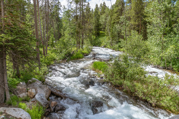 View up the Cottonwood Creek in Grand Tetons